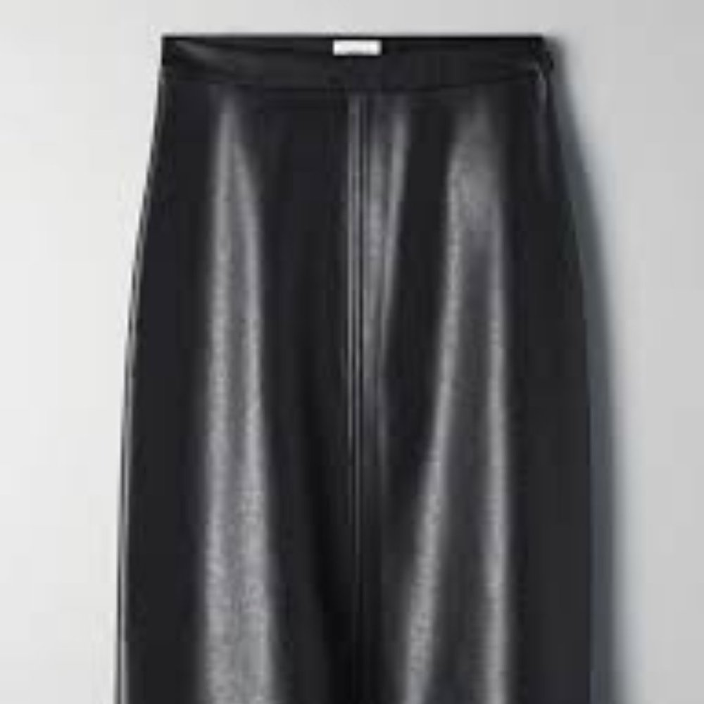 Wilfred Diamante Skirt (Aritzia)